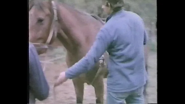 HD La Perdizione também conhecida como Marina's Animals (1986 clipes de energia