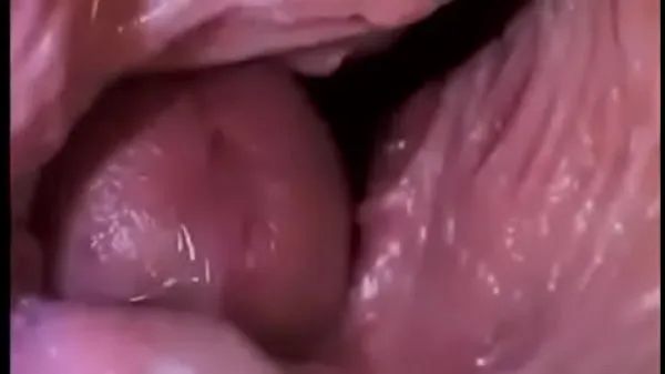 HD Dick Inside a Vagina power Clips