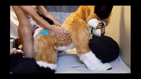 Clips de alimentación HD FreyaShibe - Diversión perrito