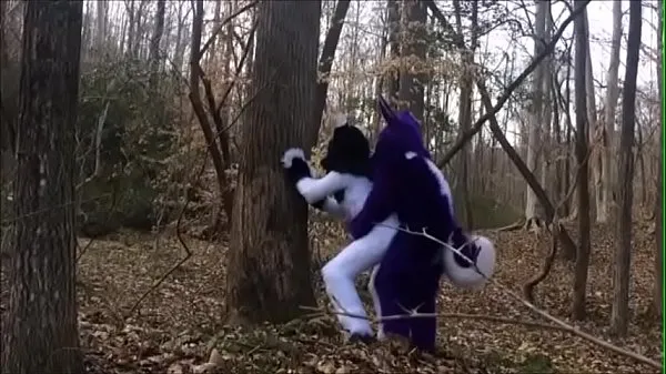 Clips de alimentación HD Pareja de Fursuit apareándose en el bosque