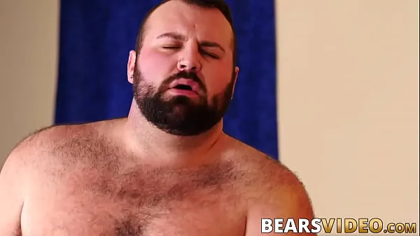 Bear aime se faire ramoner les fesses extraits vidéo HD