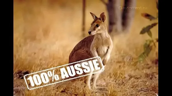 HD 100 percent Aussie vol 1-3 strømklip